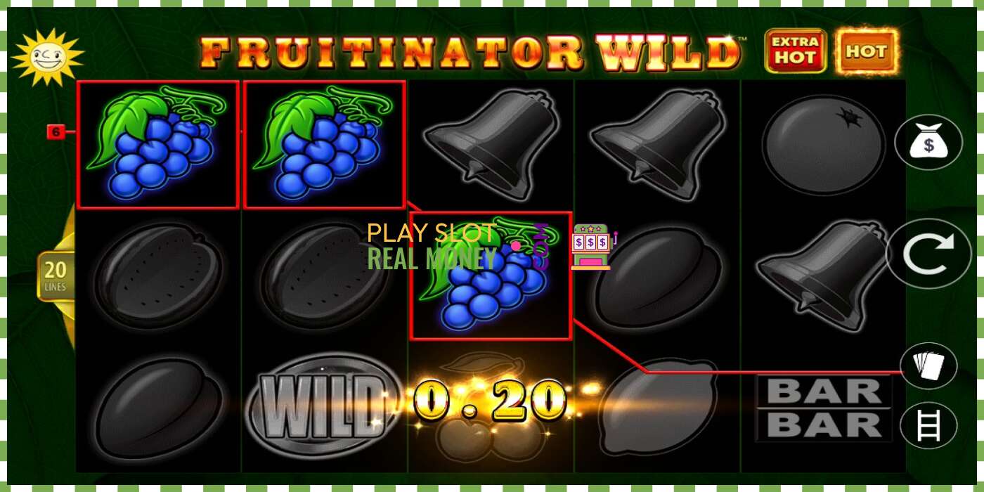 រន្ធដោត Fruitinator Wild សម្រាប់ប្រាក់ពិត, រូបភាព - 3