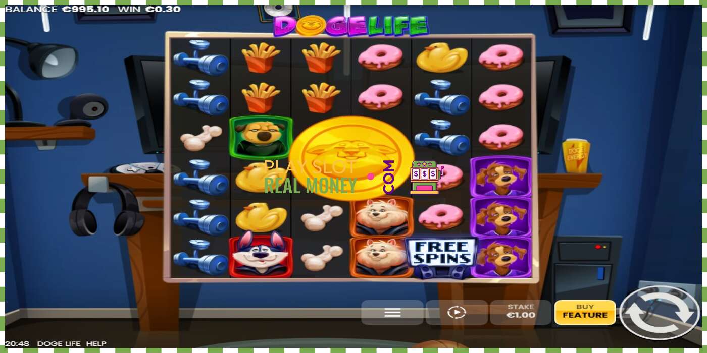 រន្ធដោត Doge Life សម្រាប់ប្រាក់ពិត, រូបភាព - 4 រន្ធដោត Doge Life សម្រាប់ប្រាក់ពិត, រូបភាព - 4