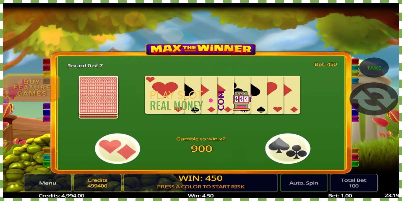 Slot Max The Winner for real money, picture - 4 Slot Max The Winner for real money, picture - 4