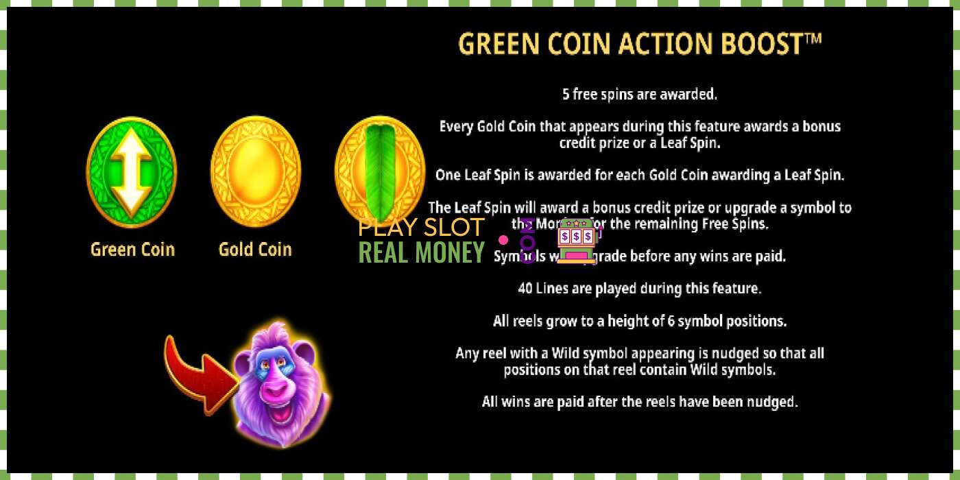 ສະລັອດຕິງ Action Boost Tiki Treasures ສໍາລັບເງິນທີ່ແທ້ຈິງ, ຮູບພາບ - 6 ສະລັອດຕິງ Action Boost Tiki Treasures ສໍາລັບເງິນທີ່ແທ້ຈິງ, ຮູບພາບ - 6