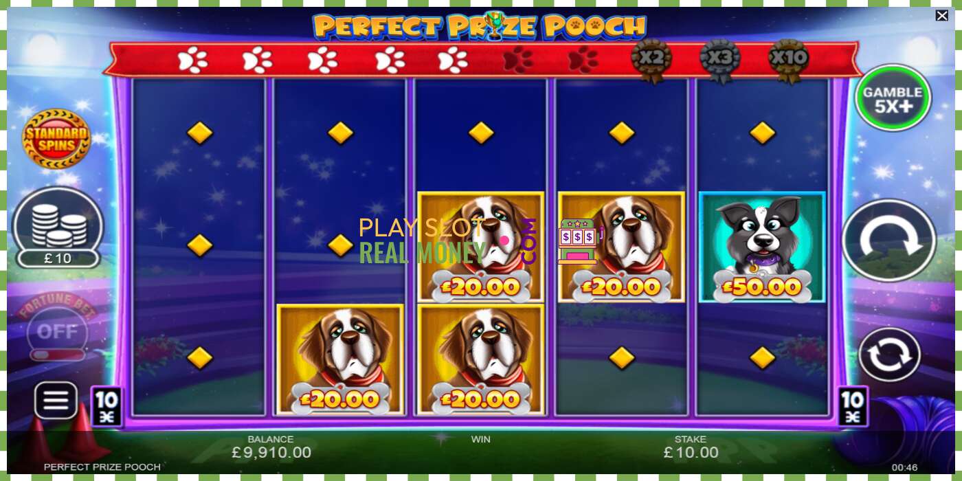 Slot Perfect Prize Pooch për para të vërteta, foto - 5
